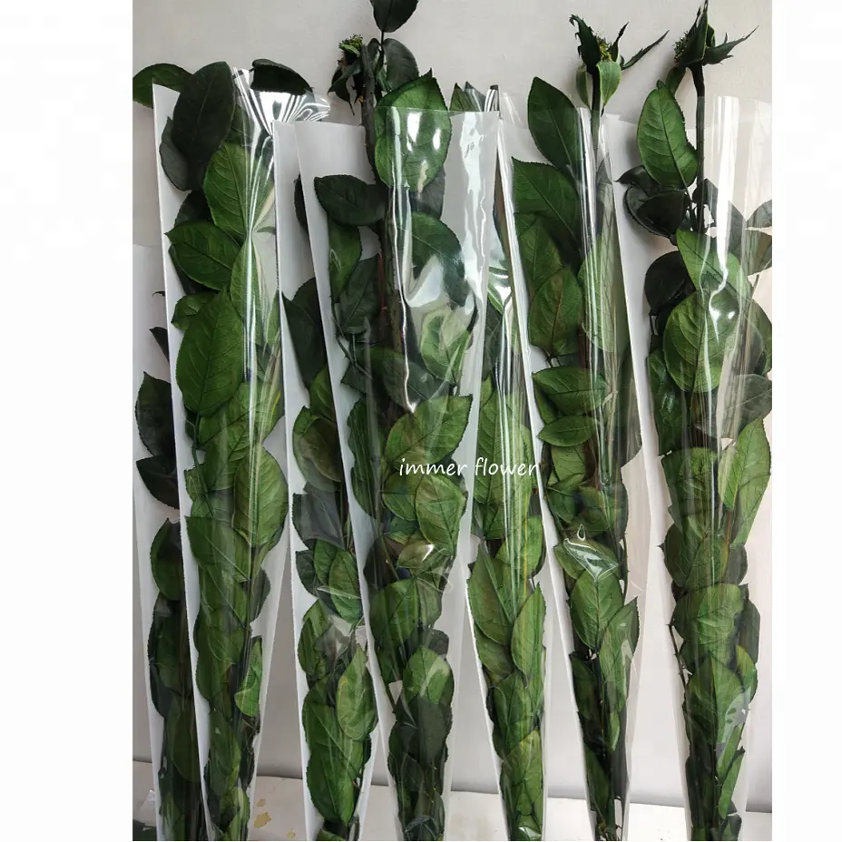 Сохраненный натуральный длинный сухой стебель розы от Kunming