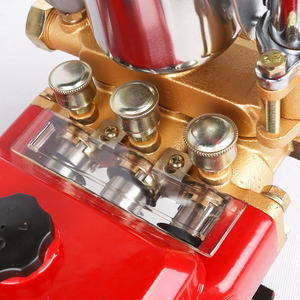 Bester Preis landwirtschaft liches Produkt Farm Bewässerungs system Airless <span class=keywords><strong>Sprayer</strong></span> hausgemachte <span class=keywords><strong>Power</strong></span> Spray Pumpe - Product Image 6