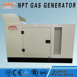Coal Gas Generator 15 KW Natural Gas\Biogas\Biomass Gas\coal Gas Generator