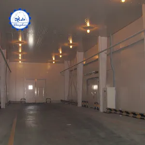 100000 tons Hot Selling cold storage room project warehouse room