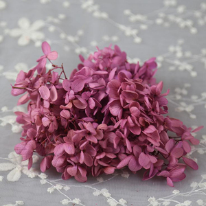 HFlora-Hortensia Multicolor natural a granel para el hogar, boda, tienda en línea, decoración, venta al por mayor - Product Image 1