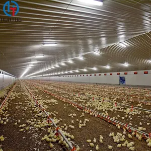 Comercial de acero barato estructura pollo aves de corral granja para 10000 pollos.