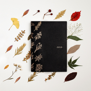 Diari quaderno con Logo personalizzato <span class=keywords><strong>copertina</strong></span> morbida in <span class=keywords><strong>similpelle</strong></span> A6 B6 griglia punteggiata Tomoe River Paper planner - Product Image 1