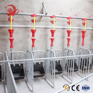 Il tubo d'acciaio della fabbrica ha usato il <span class=keywords><strong>recinto</strong></span> del <span class=keywords><strong>maiale</strong></span> dell'attrezzatura agricola delle scrofe della cassa di parto del <span class=keywords><strong>maiale</strong></span> - Product Image 3