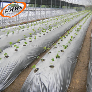 30-100 Micron <strong>Black</strong> <strong>Polythene</strong> <strong>Sheet</strong> Agricultural Mulching Film 1-4m Greenhouse Compost Ground Cover - Product Image 1