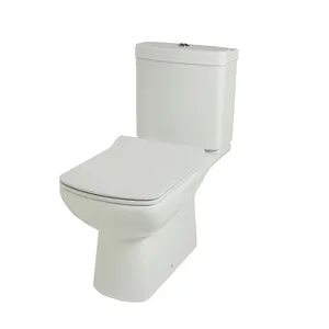 HUIDA सबसे अच्छा बेच कारखाना दौर पी-जाल दोहरी फ्लश washdown 2 टुकड़ा करीब-युग्मित wc शौचालय