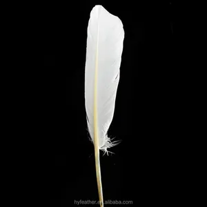Goose Nagorie Feathers Dyed - White