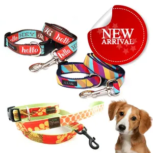 Colorful Retractable Personalized Embroidered Dog Collars and Leashes