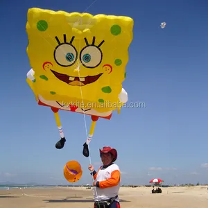वेफ़ांग kaixuan द्वारा उत्पादित inflatable पतंग पतंग फैक्टरी
