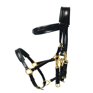 Écologique <span class=keywords><strong>cheval</strong></span> d'endurance racing bride, rein et cuirasse - Product Image 3