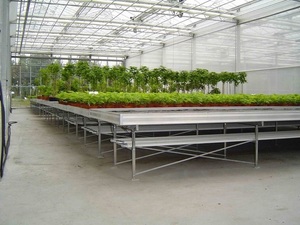 Système de bacs hydroponiques à <span class=keywords><strong>flux</strong></span> <span class=keywords><strong>et</strong></span> <span class=keywords><strong>reflux</strong></span>, système de bancs roulants à inondation - Product Image 4