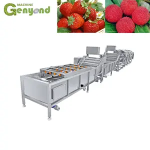 Máquina clasificadora de verduras con control Plc, clasificadora de frutas con ponderación a la venta, enhebrado de papel de plástico