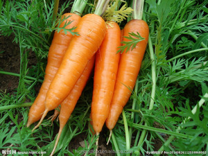 Highland hot sale low price <strong>dried</strong> pure strong <strong>carrot</strong> granules <strong>powder</strong> <strong>dry</strong> and cold place steamed - Product Image 6