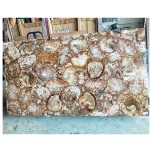 Panneau de revêtement mural pour villa, prix d'usine, dalle de bois pétrifié brun naturel massif, pierre fossile à vendre - Product Image 2