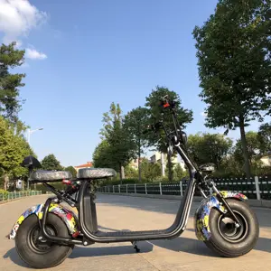 1500 Вт Электрический скутер кВт электрический мотоцикл с литиевой батареей 48 В 20 Ач