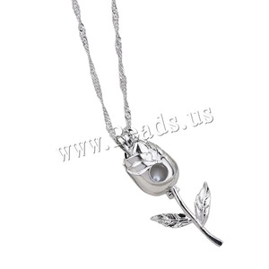 Pendentif <span class=keywords><strong>cage</strong></span> en perle d'eau douce classique et mignon, collier à fermoir, styles différents, alliage de zinc creux plaqué argent, bijoux cadeau - Product Image 1
