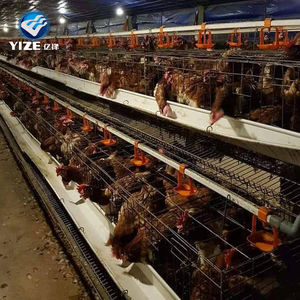 Gabbia di pollo delle galline ovaiole degli uccelli di 5 livelli 200 per la batteria dell'attrezzatura del pollame/azienda agricola dell'indonesia 10 insiemi filo galvanizzato immerso caldo 50 kg/gabbia - Product Image 5