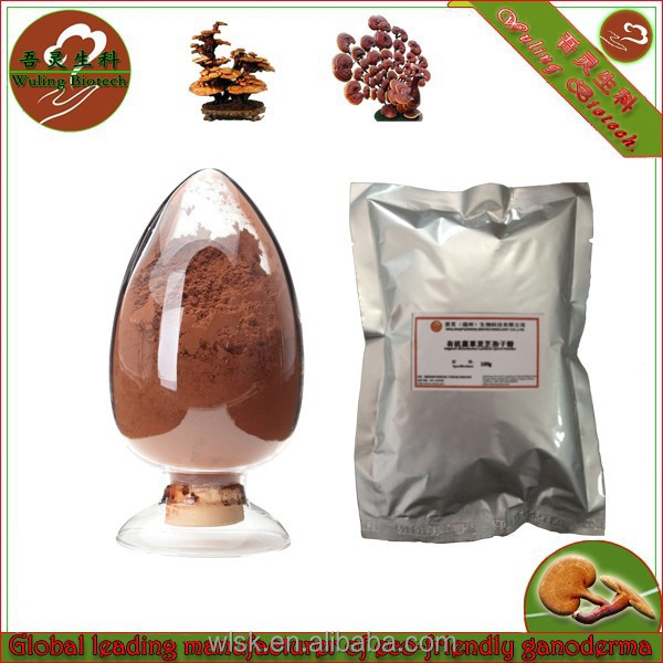 Здоровье ganoderma спор порошок