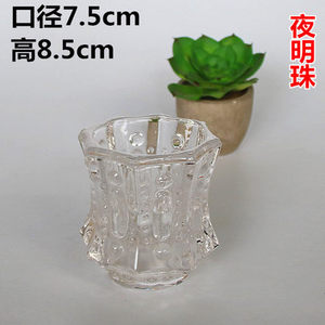 Multi carne planta en maceta cristal europeo botella de vidrio transparente - Product Image 1