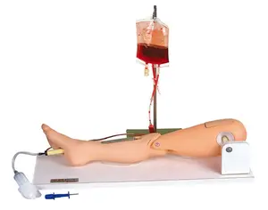 Simulador de Punción de Médula Ósea y Venopunción Femoral GD/L65A para Médicos Generales - Product Image 1