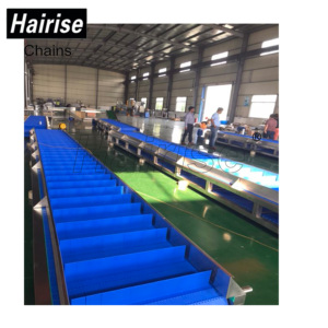 Hairise sıcak popüler içecek endüstrisi düz çalışma modüler bant konveyör - Product Image 2