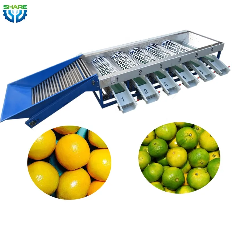 Fruit Washing und Sorting Machine Lemon Sorter Machine