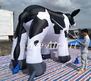 Hermoso modelo de globo inflable de vacas lecheras holandesas de 5m de largo y 3m de altura fabricado en China para publicidad de fiestas y eventos - Product Image 2