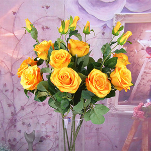 <span class=keywords><strong>Ramos</strong></span> <span class=keywords><strong>de</strong></span> Rosas Rojas Frescas y Hermosas ZERO, Rosas Rojas Artificiales para Decoración <span class=keywords><strong>de</strong></span> Bodas y Hogar - Product Image 6
