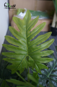 Petites plantes Philodendron décoratives, 60cm, fausses plantes, pour l'intérieur, pour décorer la maison, fleurs PE, plastique, vente en gros, pièces