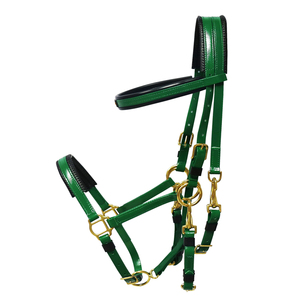 Écologique <span class=keywords><strong>cheval</strong></span> d'endurance racing bride, rein et cuirasse - Product Image 5