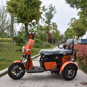 2 seat disabled cheap adult electric motor tricycle