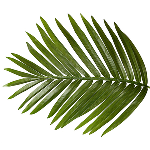 Eco-friendly PEVA 2.9 m Hotel Ornamentale di Plastica <span class=keywords><strong>Areca</strong></span> <span class=keywords><strong>Catechu</strong></span> Albero - Product Image 5