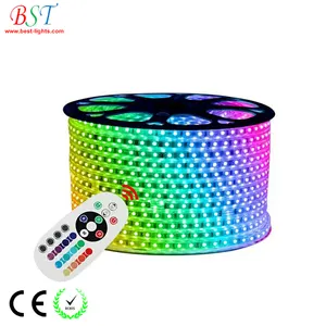 220 V 110 V HA CONDOTTO LA Striscia 5050 50 m 100 m IP67 RGB Impermeabile di Colore Doppio luci della Corda