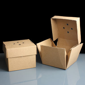 Food grade custom kraft paper burger carton boxes