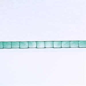 Màu Xanh Lá Cây Hollow <span class=keywords><strong>Pc</strong></span> Tấm Lợp Màu Đôi Tường Polycarbonate Tấm - Product Image 2