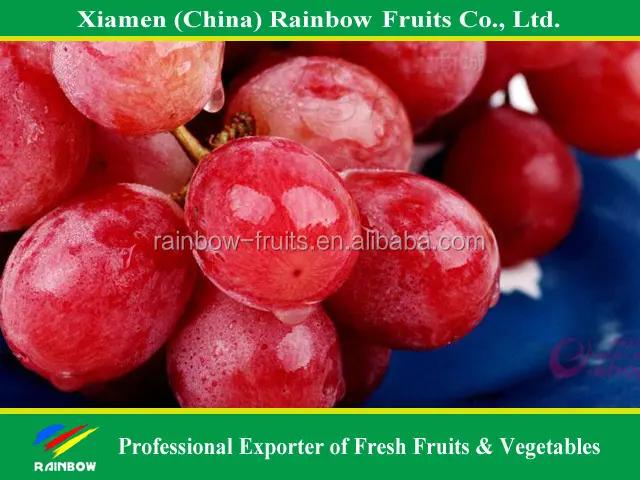 يونان الأحمر العنب الفاكهة الطازجة من العنب الأحمر شينجيانغ العنب الأحمر من الصين استيراد وتصدير الشركات بيون