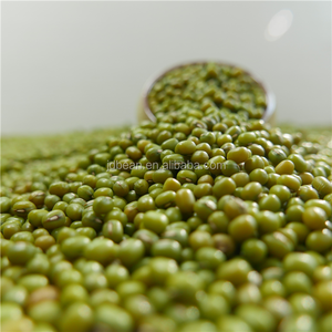 Precio para la brotación Frijol mungo verde para la venta, 2.8-4.2mm, Mongolia Interior origen - Product Image 1
