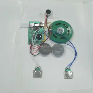 Motion activated sound module with pir sensor for long distance
