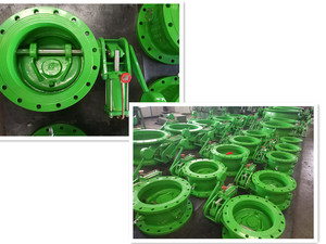 Vanne de refoulement inclinable à papillon avec contrepoids et amortisseur hydraulique - Product Image 6