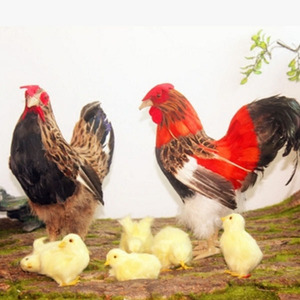 Wholesale yellow plush chicken feather decorations - Product Image 3