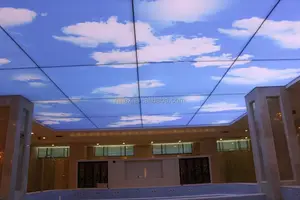 HL çatı üst çadır dekoratif tavan kağıt 3d pvc film
