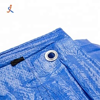 Bâche robuste en PEHD de 9 et 12 pieds, bleue, imperméable, pour camion et tente, style uni