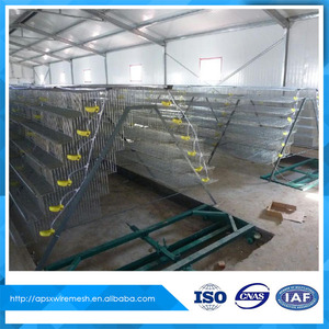Comercio Garantía <span class=keywords><strong>de</strong></span> <span class=keywords><strong>codornices</strong></span> jaula para la venta - Product Image 5