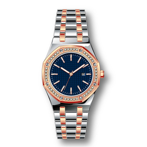 allstainlesssteelwatch