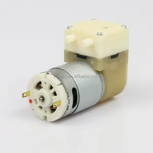 用于挤奶的小型真空马达泵 4.5LPM 真空泵
