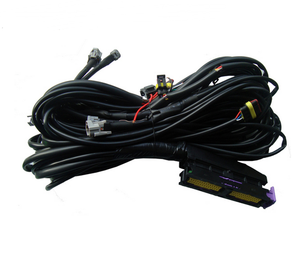 Ecuコネクタ付き自動車CNG/LPGワイヤーハーネスメーカー - Product Image 3