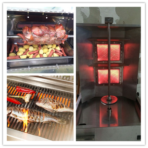 Four à tandoor au gaz avec brûleur infrarouge HD220 - Product Image 6