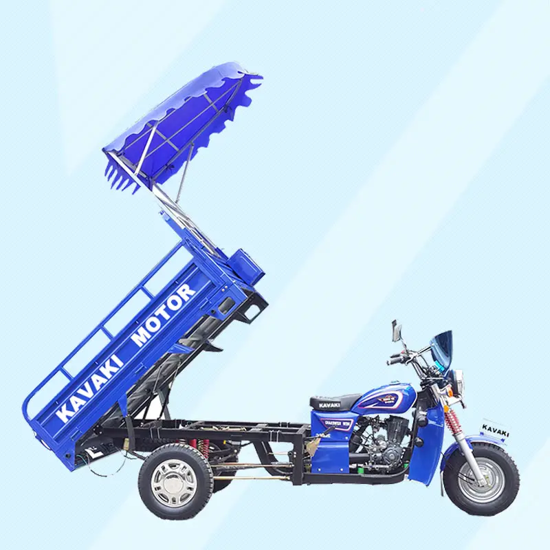 Hot Selling 3 Wheel Gas Adult Electric Scooters / Three Wheel Large Cargo Motorcycles with Roof