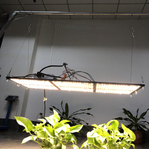 <span class=keywords><strong>Kingbrite</strong></span> 600 wát samsung lm301b lượng tử ban diy led gorw đèn kit - Product Image 2