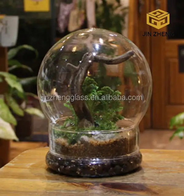 Lege Bewaarde Bloem Stolp Terrarium Voor Planten Met Stand